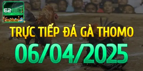 E2BET Trực Tiếp Đá Gà Ngày 06/04/2025 - e2bet 1 06_04