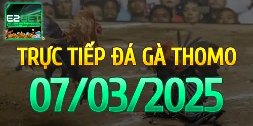 E2BET Trực Tiếp Đá Gà Ngày 07/03/2025 - e2bet 1 07_03