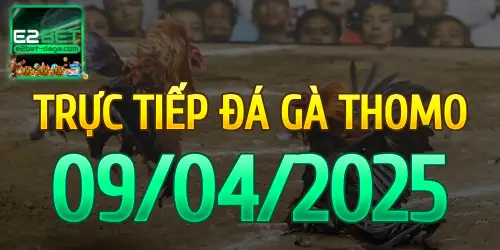 E2BET Trực Tiếp Đá Gà Ngày 09/04/2025 - e2bet 1 09_04