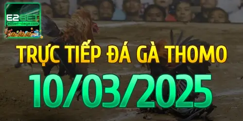 E2BET Trực Tiếp Đá Gà Ngày 10/03/2025 - e2bet 1 10_03