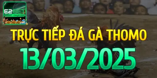 E2BET Trực Tiếp Đá Gà Ngày 13/03/2025 - e2bet 1 13_03