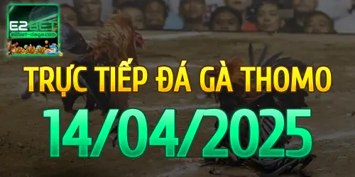 E2BET Trực Tiếp Đá Gà Ngày 14/04/2025 - e2bet 1 14_04