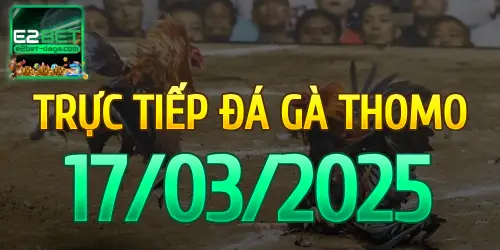 E2BET Trực Tiếp Đá Gà Ngày 17/03/2025 - e2bet 1 17_03
