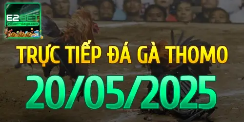 E2BET Trực Tiếp Đá Gà Ngày 20/05/2025 - e2bet 1 20_05