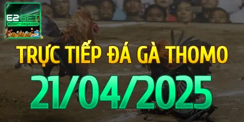 E2BET Trực Tiếp Đá Gà Ngày 21/04/2025 - e2bet 1 21_04