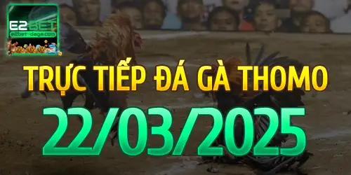 E2BET Trực Tiếp Đá Gà Ngày 22/03/2025 - e2bet 1 22_03