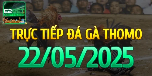 E2BET Trực Tiếp Đá Gà Ngày 22/05/2025 – e2bet 1 22_05