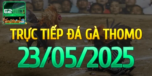 E2BET Trực Tiếp Đá Gà Ngày 23/05/2025 - e2bet 1 23_05