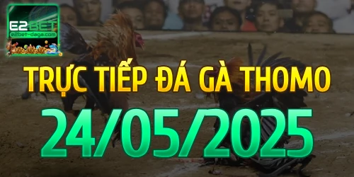 E2BET Trực Tiếp Đá Gà Ngày 24/05/2025 - e2bet 1 24_05