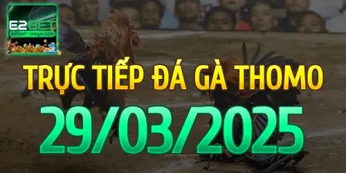 E2BET Trực Tiếp Đá Gà Ngày 29/03/2025 - e2bet 1 29_03