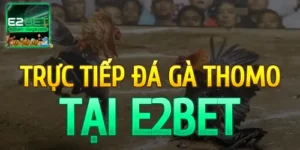TRỰC TIẾP ĐÁ GÀ TẠI E2BET