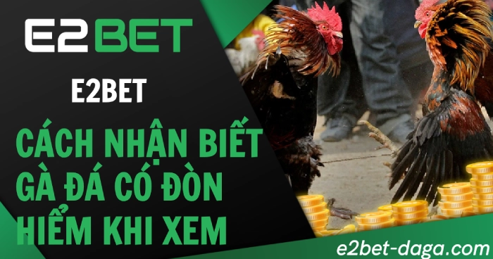 Cách Nhận Biết Gà Đá Có Đòn Hiểm Khi Xem Tại E2BET