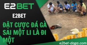Đặt Cược Đá Gà E2BET: Sai Một Li Đi Một Dặm
