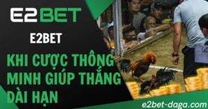 E2BET Đá Gà: Khi Cược Thông Minh Giúp Thắng Dài Hạn