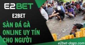 E2BET – Sàn Đá Gà Online Uy Tín Cho Người Chơi Việt
