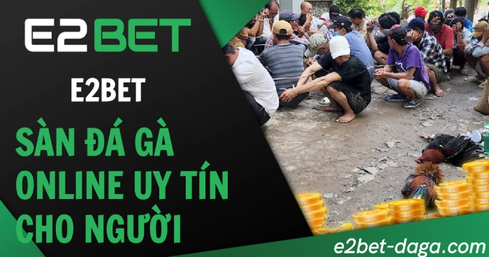 E2BET – Sàn Đá Gà Online Uy Tín Cho Người Chơi Việt