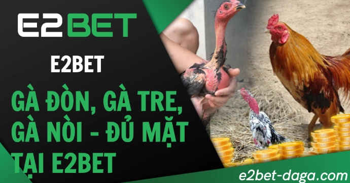 E2BET Gà Đòn, Gà Tre, Gà Nòi – Đủ Mặt Tại E2BET 1 Gà Đòn, Gà Tre, Gà Nòi – Đủ Mặt Tại E2BET